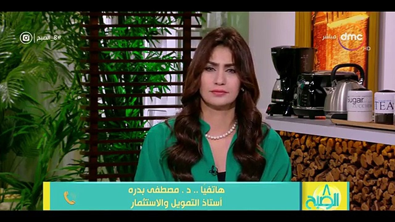 خبير اقتصادى: إشادة المؤسسات الدولية بالاقتصاد المصرى دليل على نجاح الإصلاحات