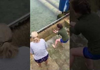 Kind Lady Reunites Lost Duckling With Its Family