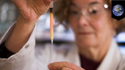 Scientists reveal the world's oldest color has been discovered