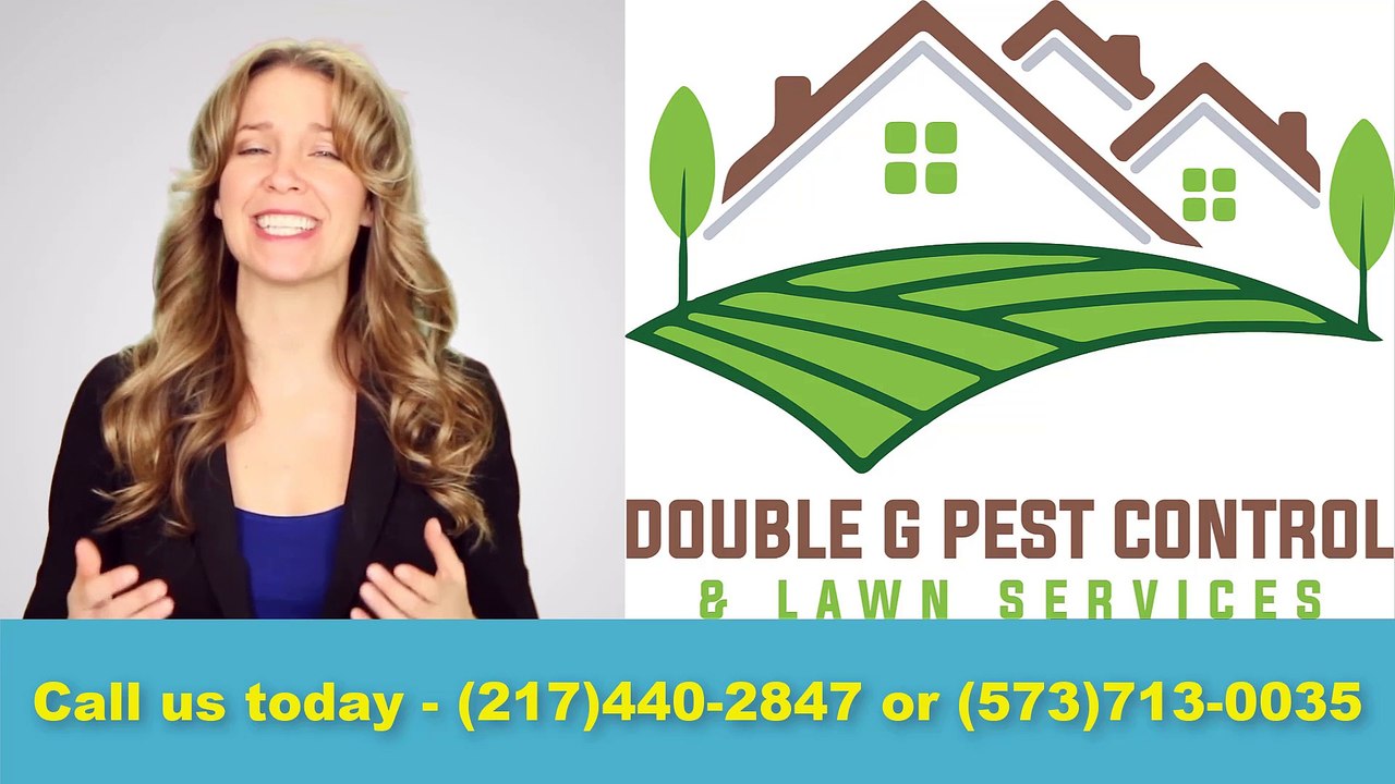 Roach Control Palmyra Missouri