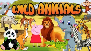 Learning Wild Animals and their sounds for kids with Piggy