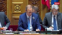 PJL Avenir Professionnel - Les matins du Sénat (13/07/2018)