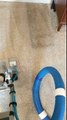 Professional Carpet Cleaning VS a Rug Doctor | Beach Walk Cleaning Services in Myrtle Beach, SC