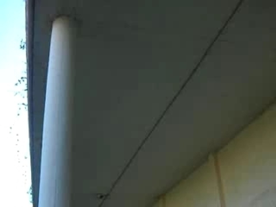 Vinc shove it 3M