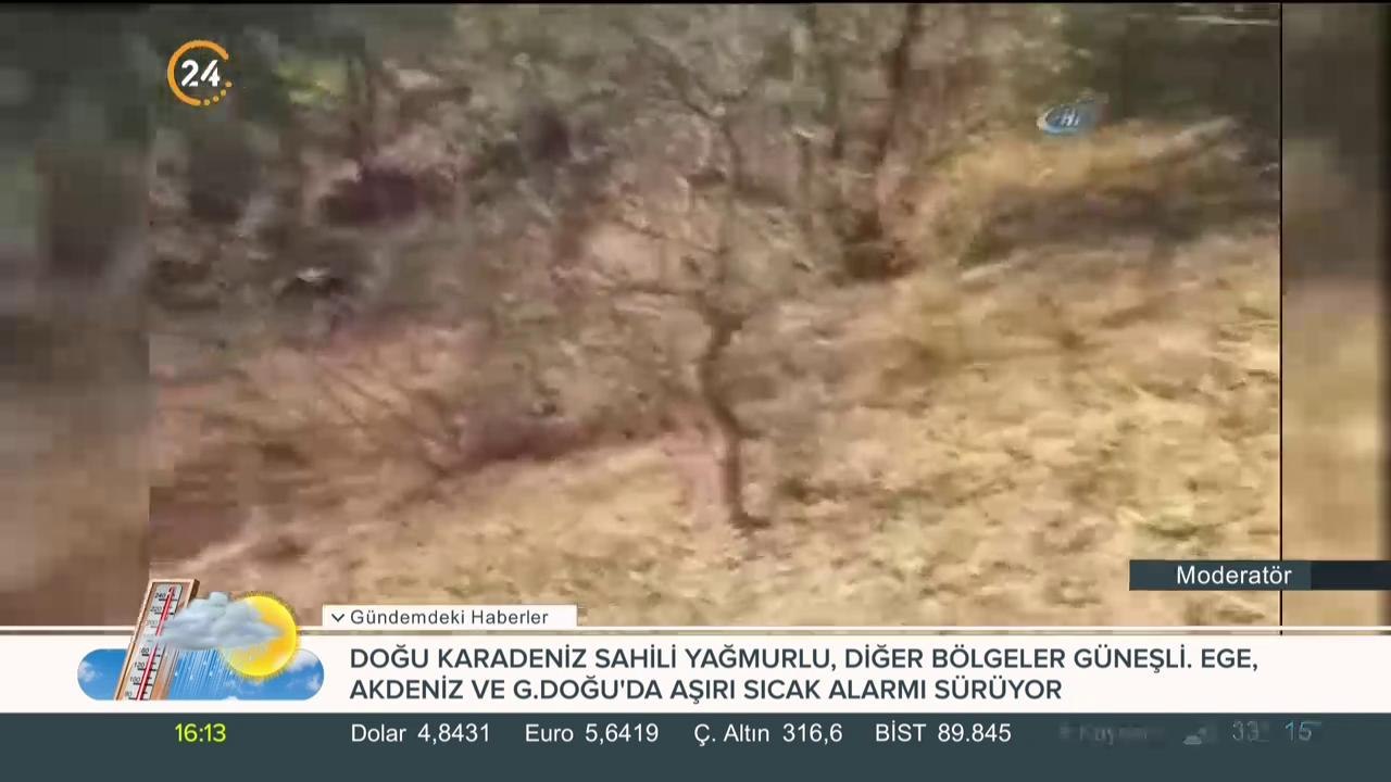 Teröristin teslim olma anı