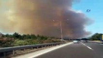 İzmir'de orman yangını... İzmir'de başlayan yangın büyüyor