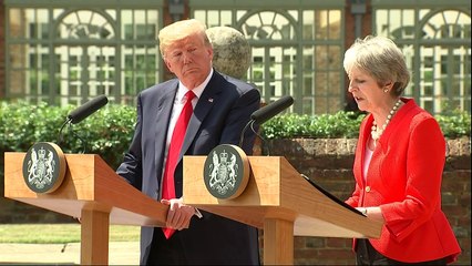 Donald Trump says he'll back any Brexit plan the UK pursues