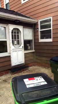 Voici la maison la mieux gardée au monde, cambrioleurs s'abstenir !