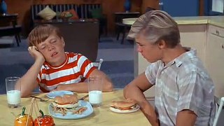 Flipper ( 1964 )  S01E13