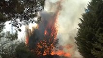 İzmir'de Orman Yangını... İzmir'de Başlayan Yangın Büyüyor