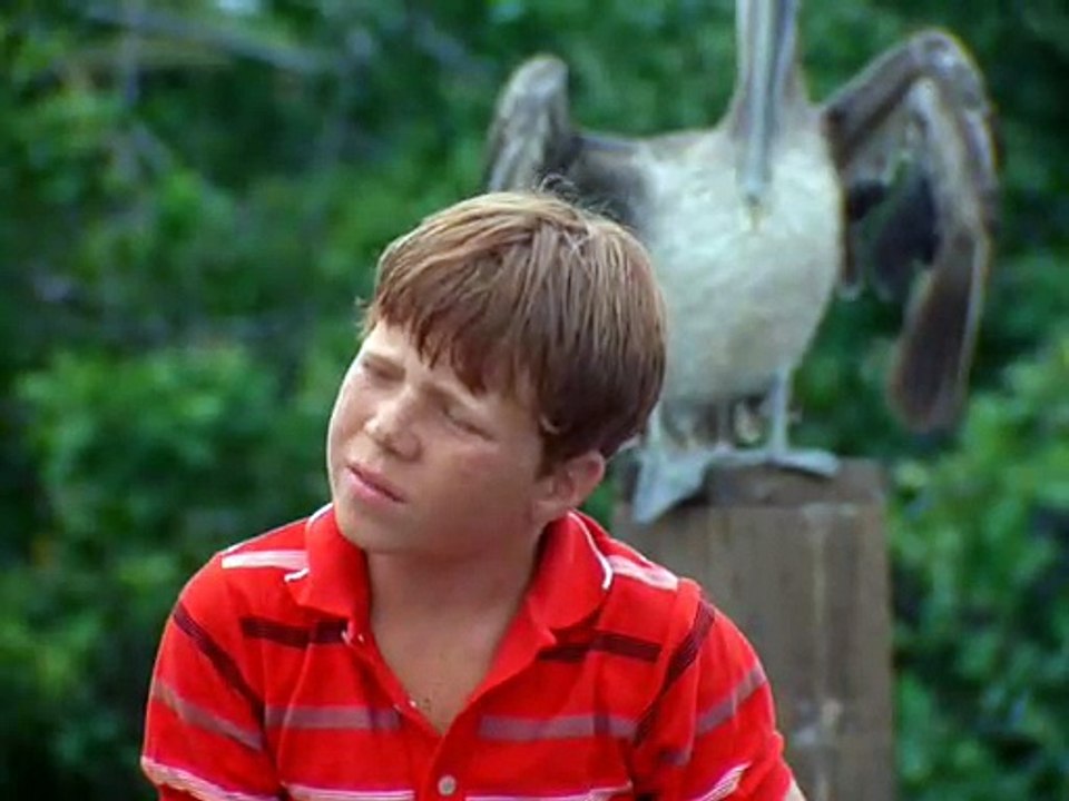 Flipper ( 1964 )  S01E06