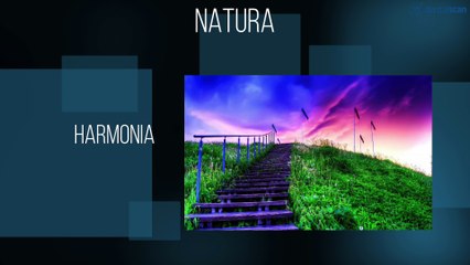 Funkcjonalnie i estetycznie, czyli tak jak w naturze