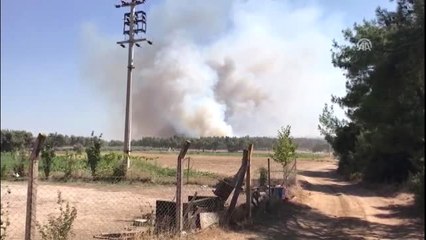 Buca'da Orman Yangını (1)