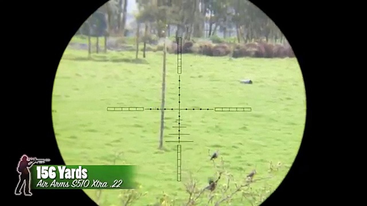 156 Yard Dove Shot!