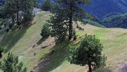 UFO sighted while playing Pokémon GO **Exclusive Images**