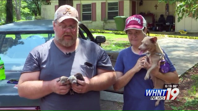 Three Newborn Puppies Rescued from House Fire in Alabama