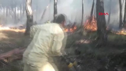 İzmir Buca'da Orman Yangını - Ek 2