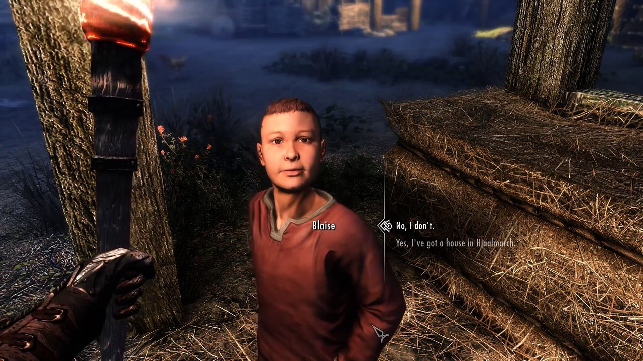 Skyrim Top 5 Kids Who Need Adoption the Most