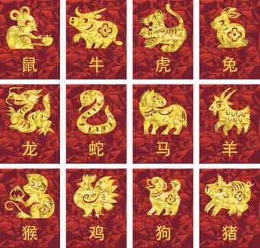 Tout savoir sur les signes astrologiques chinois
