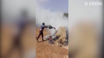 Denuncia que por culpa de su injusta detención se echaron a perder los cacahuetes