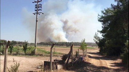 Buca'da orman yangını (1) - İZMİR