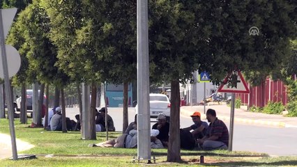 Sıcak hava etkili oldu - ŞANLIURFA