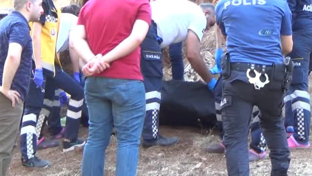 Yaşlı Adam Kendisini Çam Ağacına Asarak İntihar Etti