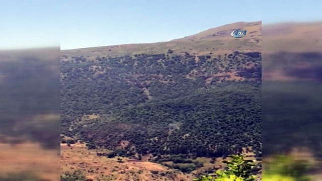Bitlis 6 terörist etkisiz hale getirildi