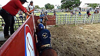 COLEO CATEGORIA ELITE