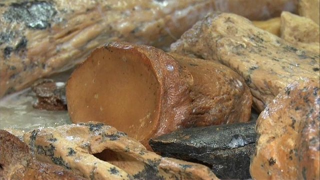 Restos de mamuts en Crimea