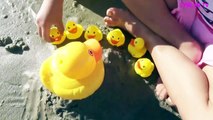 Five Little Ducks Nursery Rhymes Song | Five Little Ducks Toy for Kids Educational