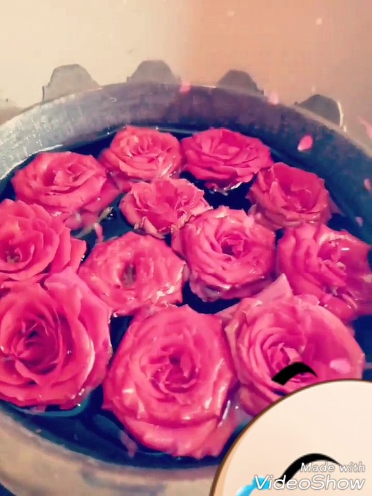 Red Roses