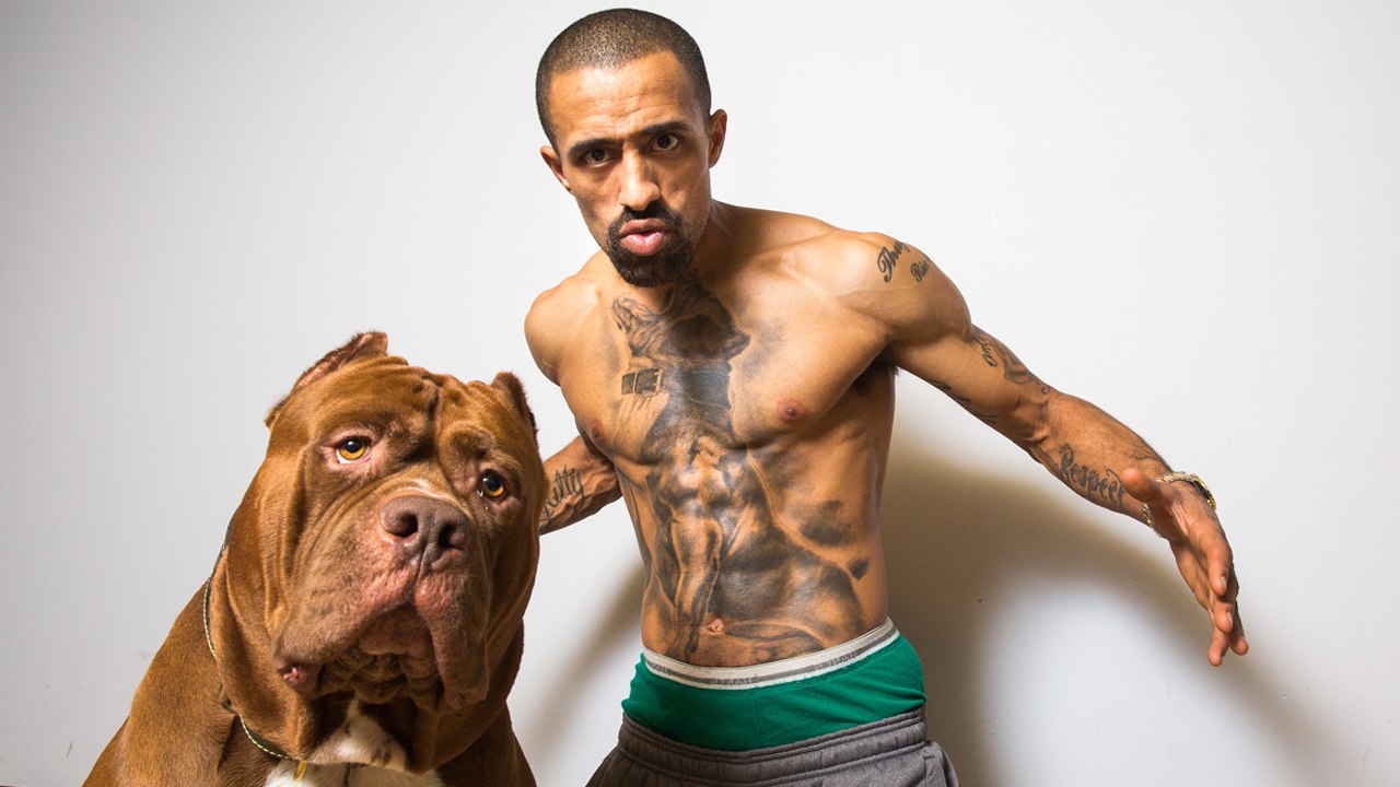 Hulk Ink - The World’s Biggest Pitbull Tattoo | DOG DYNASTY - video