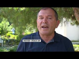 Ndotja dëmton trurin  - Top Channel Albania - News - Lajme