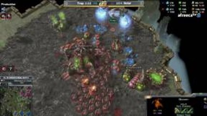 Solar Holds Traps Aggression