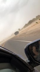 Trampoline Tumbleweed