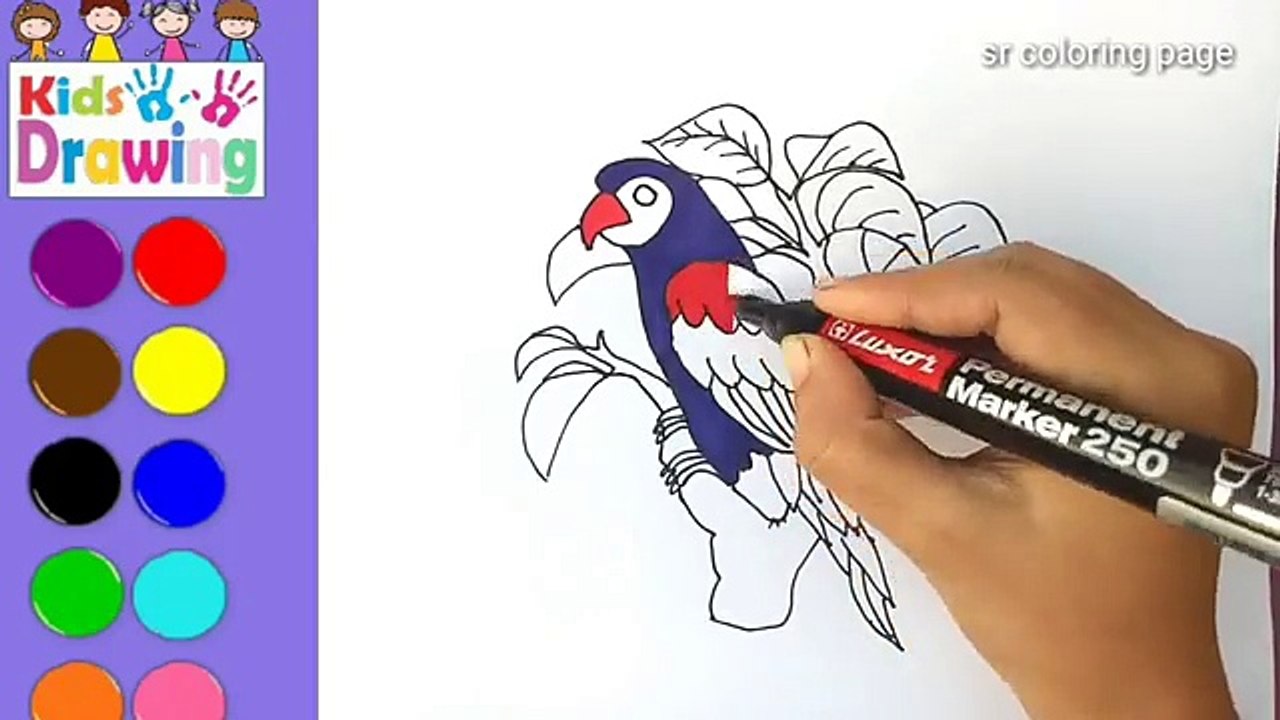 How to draw a bird /coloring pages for kids