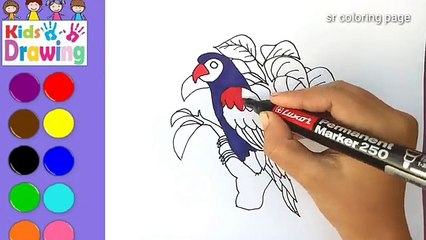 How to draw a bird /coloring pages for kids