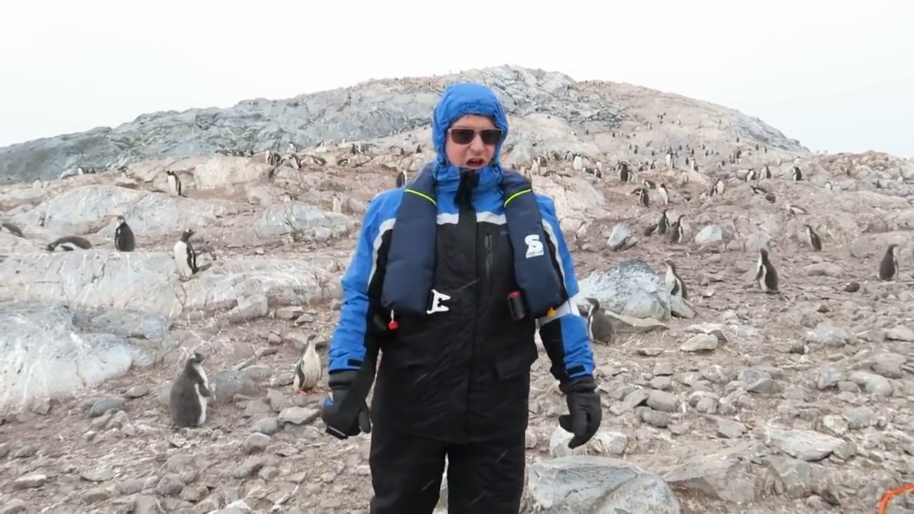 A los pingüinos no les gusta escuchar la ópera ni la música clásica