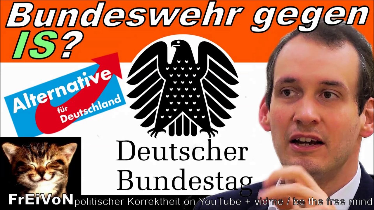 AfD im Bundestag * BUNDESWEHR gegen IS?