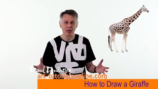 How to Draw a Giraffe