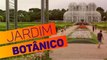 Conheça o trabalho ambiental do Jardim Botânico de Curitiba