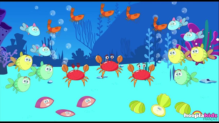 Compte Les Requins Colorés! - Hooplakidz Français