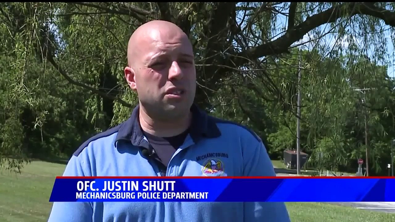Police Department Issues Warning After K9 Diagnosed with Lyme Disease