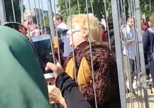 London Protester Dresses as Trump in Gorilla Suit Behind Bars