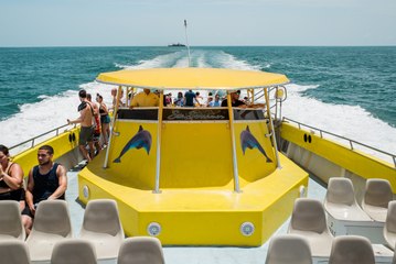 WPTDeepStacks Goes Cruising with the Dolphins