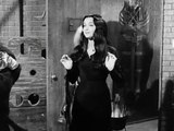 The Addams Family S01E28