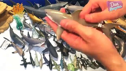 50 SHARKS for kids! MY ENTIRE SHARK TOYS COLLECTION!