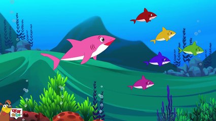Five Baby Sharks Do Do in Hindi - Machli Jal Ki Rani hai (मछली जल की रानी) - Fun For Kids TV - India