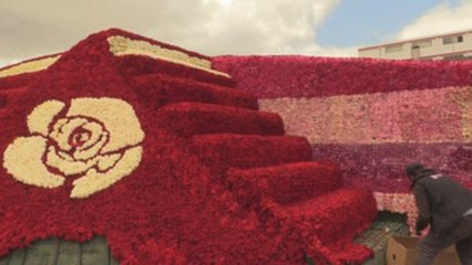 Ecuador busca romper récord Guinness con pirámide de rosas